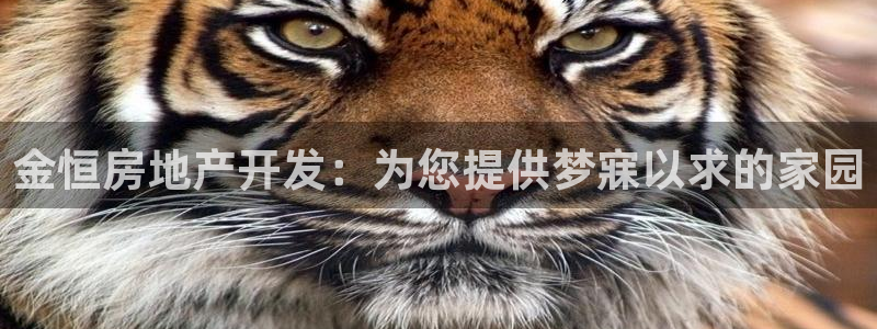 永利官网总站入口在哪