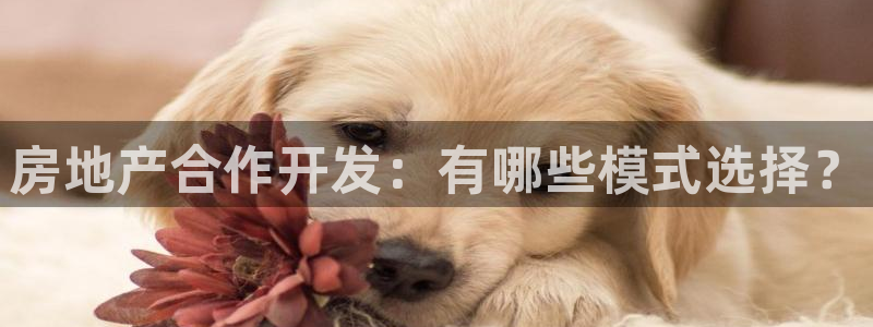 滨州永利盐业