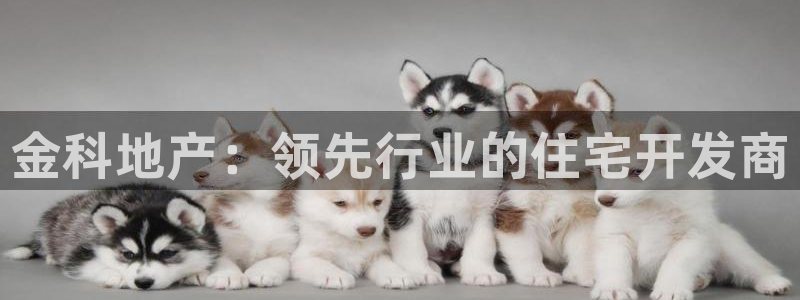 永利股份有限公司介绍
