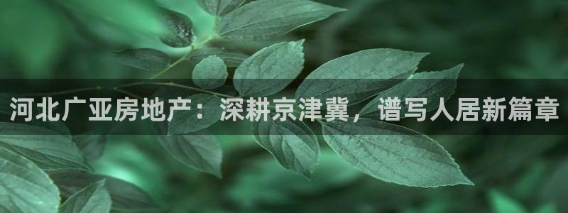 永利杯掼蛋比赛