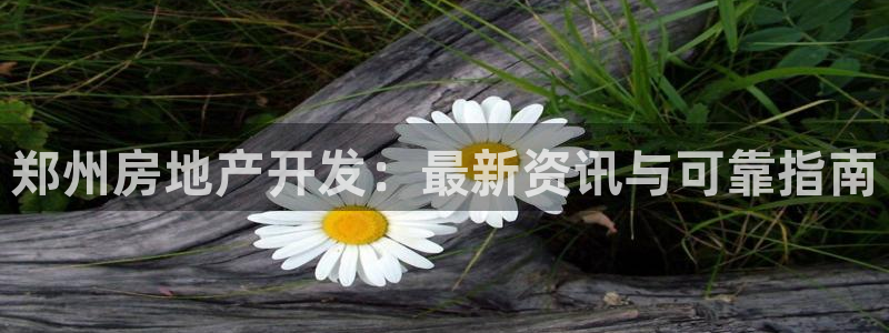 滨州永利盐业