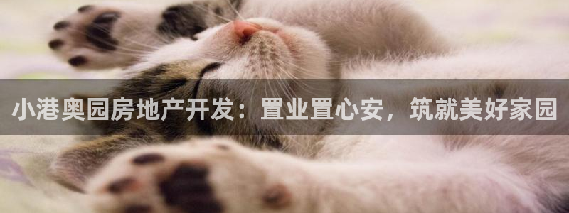 永利公司是做什么的