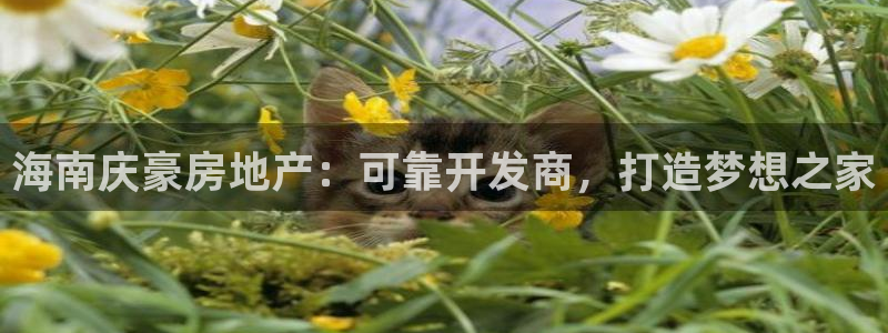 永利运动鞋是几几年出的