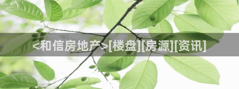 永利地产工程有限公司