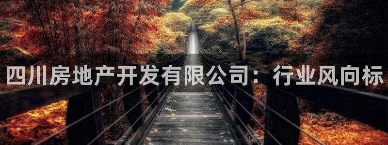 永利网是干什么的,能挣到钱吗是真的吗