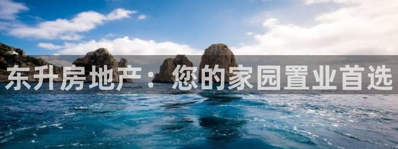 永利集团304am官方入口版