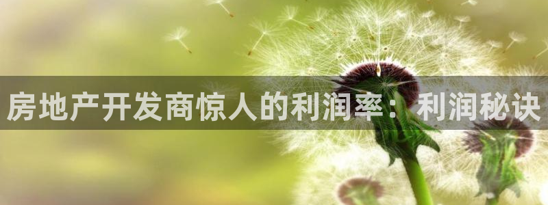 永利运动鞋