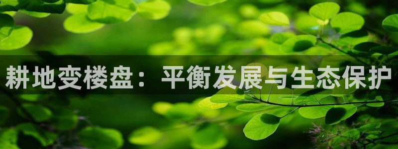 永利不给提款怎么办?