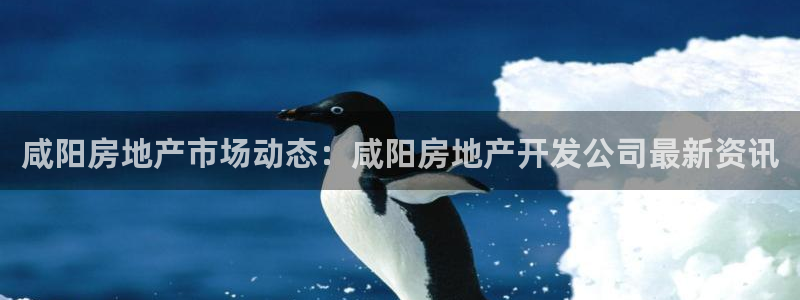 永利中国总裁