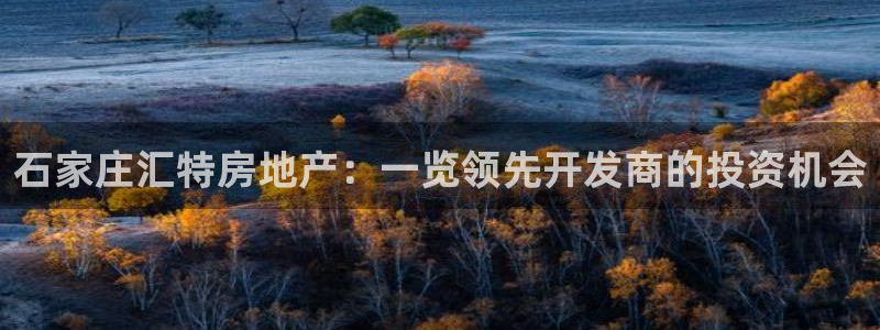 永利皮带型号说明图