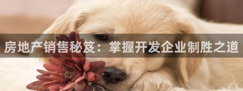 永利中国总裁