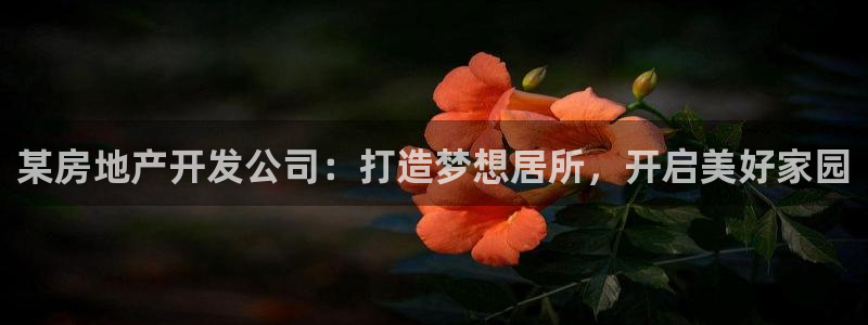 鄂尔多斯永利煤矿简介
