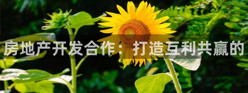 永利皮带官网旗舰店