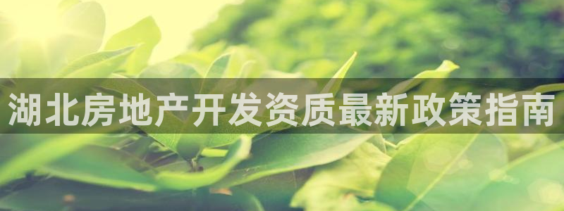 永利股份怎么了