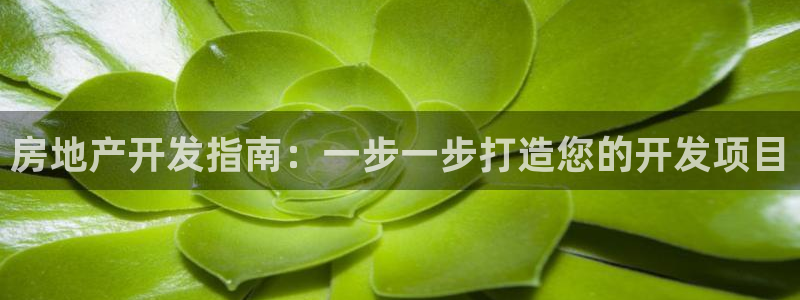 永利股份最新