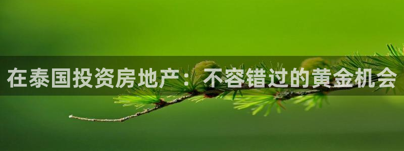 永利集团简介及地址