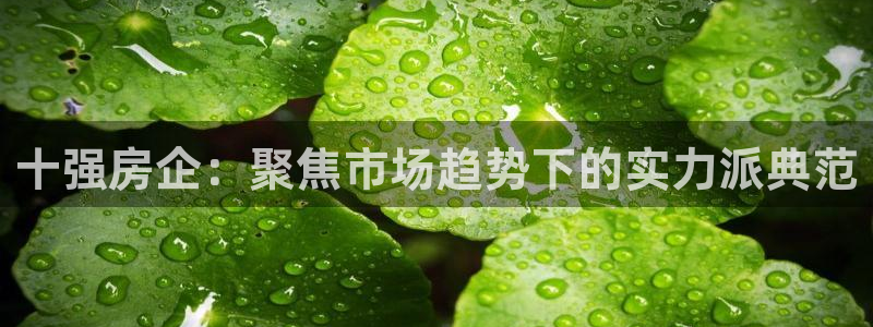 永利带业 皮带 输送带 价格