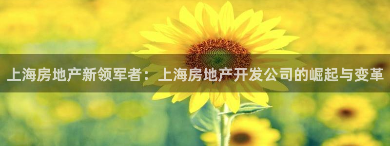 永利官网y