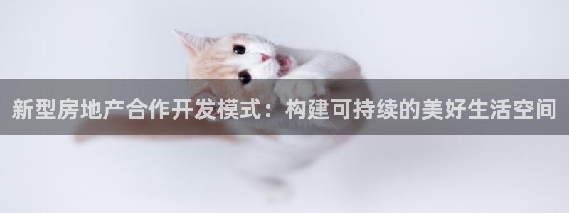 鄂州永利房地产怎么样