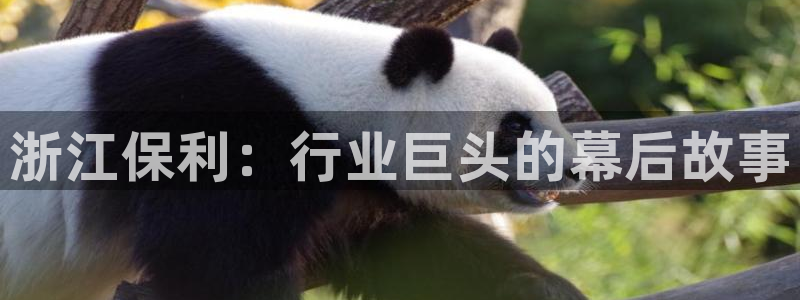 永利家具厂怎么样