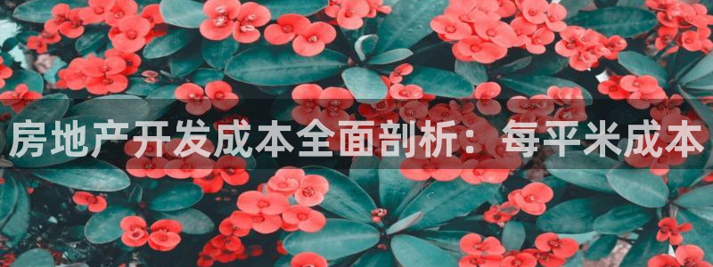 永利网能赚钱是真的么