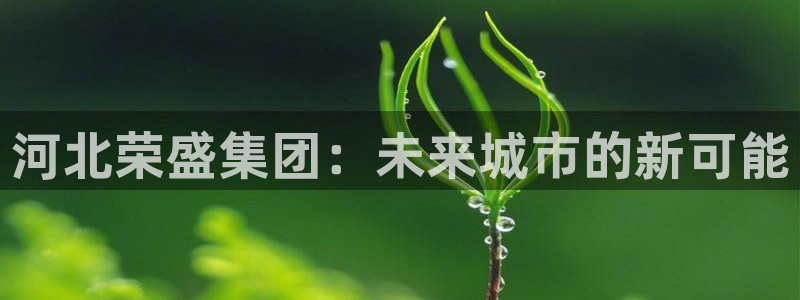 永利现场