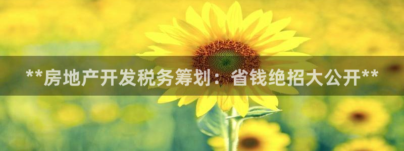 永利精工董事长