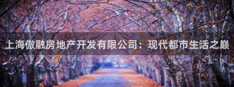 滨州永利篮球俱乐部老板
