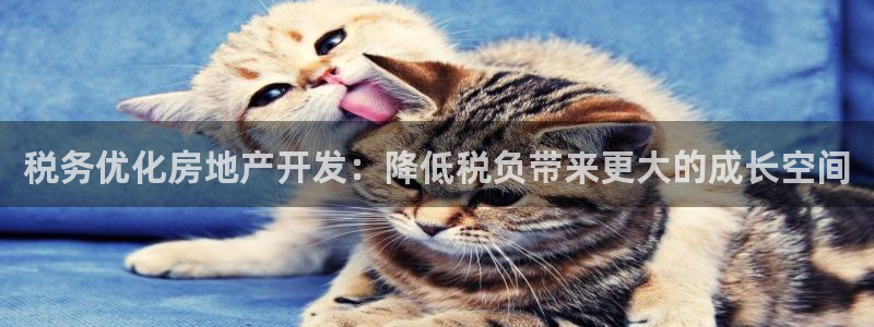 永利中国股票