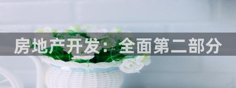 永利鞋业有限公司