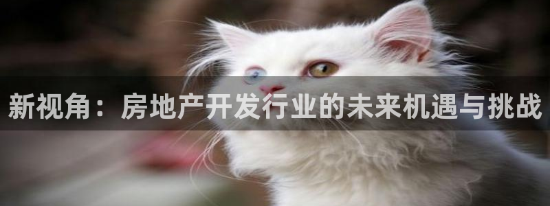 永利汇茶具有限公司