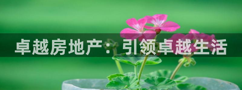 永利汇客房价格