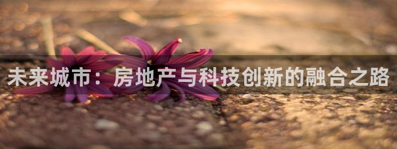 永利官网正网