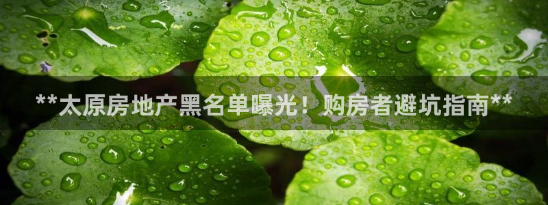 永利网怎么了打不开
