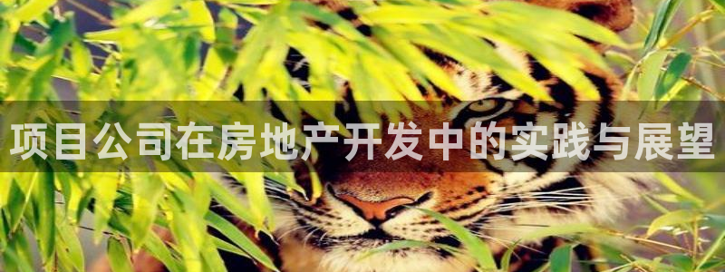永利游乐城网址是什么