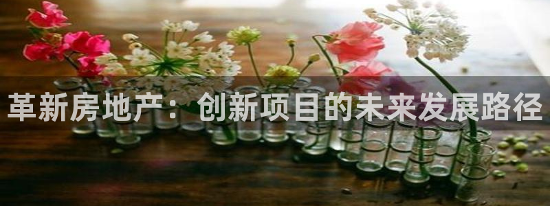 永利的老板是谁