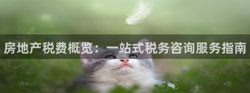 永利官网总站入口在哪