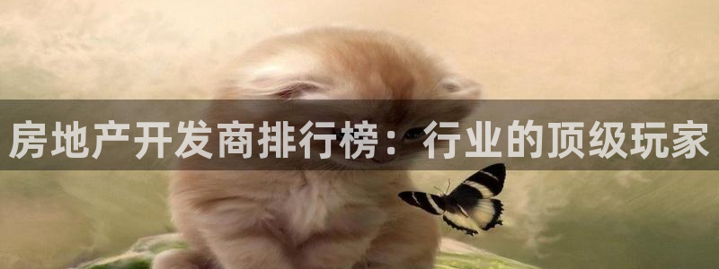 永利游乐城网址是什么