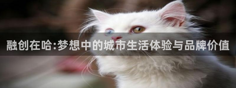 永利精工董事长