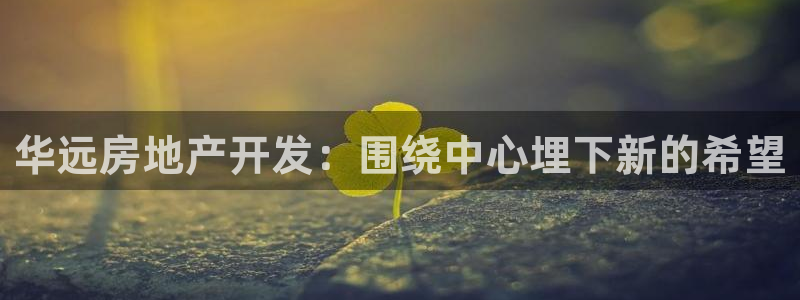 永利网是不是真的